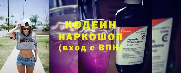 шишки Абаза