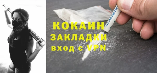 шишки Абаза
