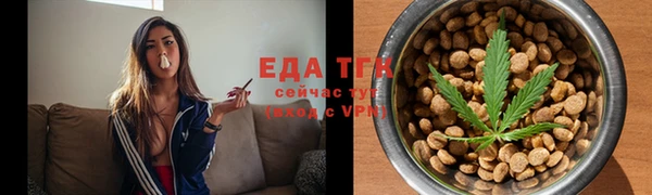 шишки Абаза