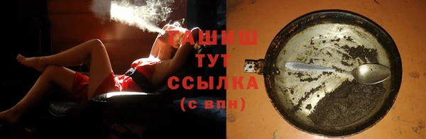 шишки Абаза