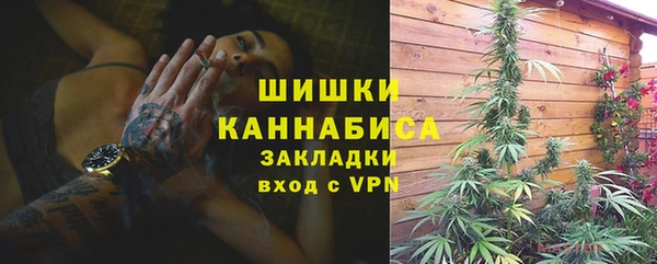 шишки Абаза