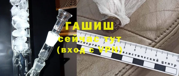 шишки Абаза