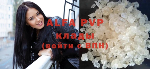 шишки Абаза