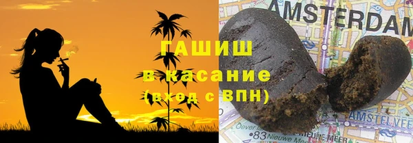 шишки Абаза