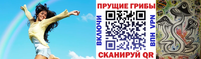 Галлюциногенные грибы Magic Shrooms  Кисловодск 
