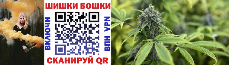 Бошки Шишки планчик Кисловодск
